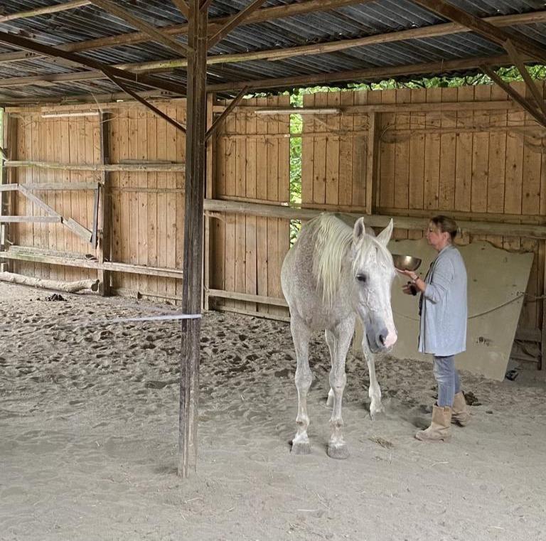 Klangschalenreise mit Pferd