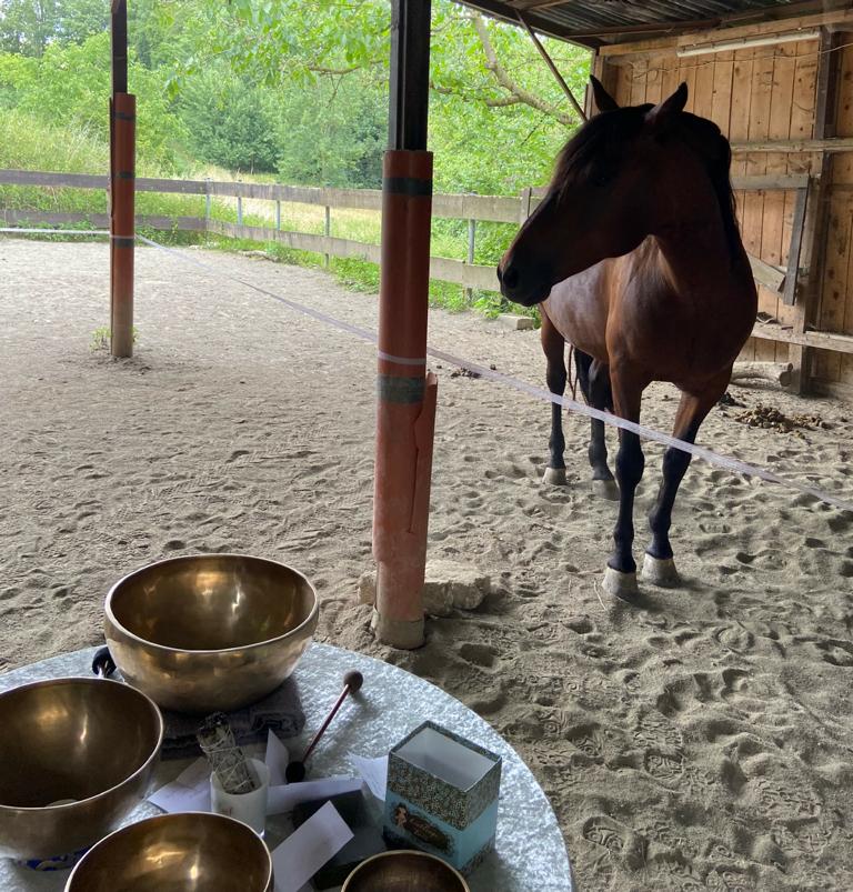 Klangschalenreise mit Pferd