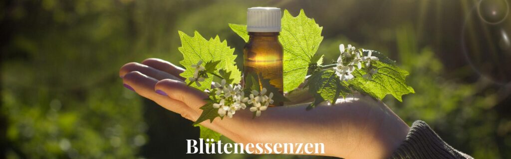 Bachblütenessenzen für Mensch und Tier